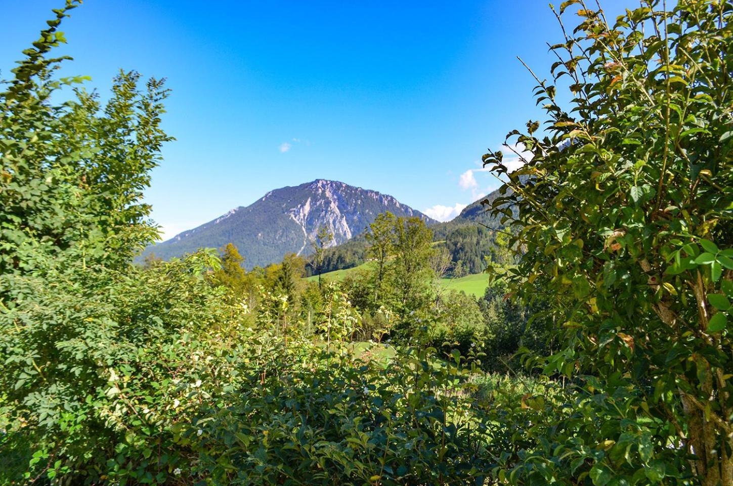 Almbauernhof Διαμέρισμα Ruhpolding Εξωτερικό φωτογραφία